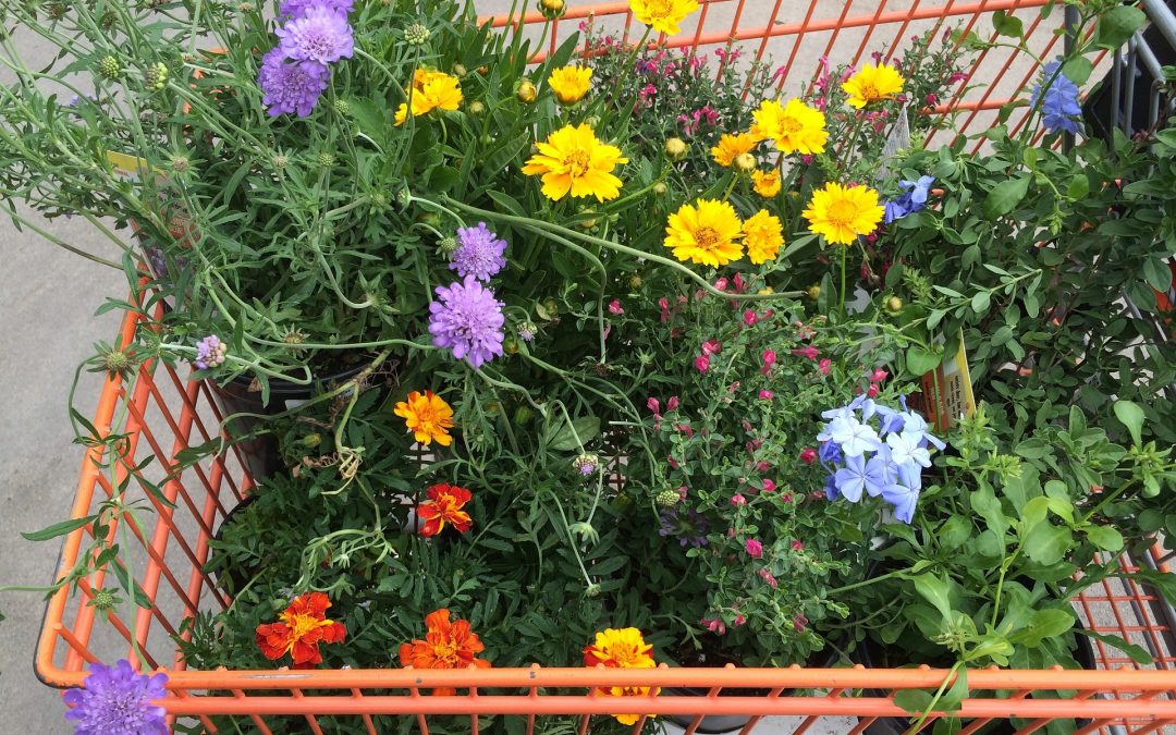 Quelles utilités pour un chariot de jardin ?