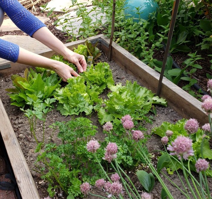 Comment creer un jardin joli et facile a entretenir?