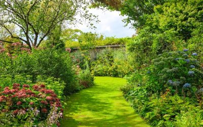 Comment creer un jardin agreable ?