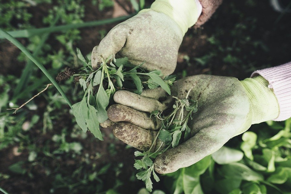 Comment entretenir son compost?