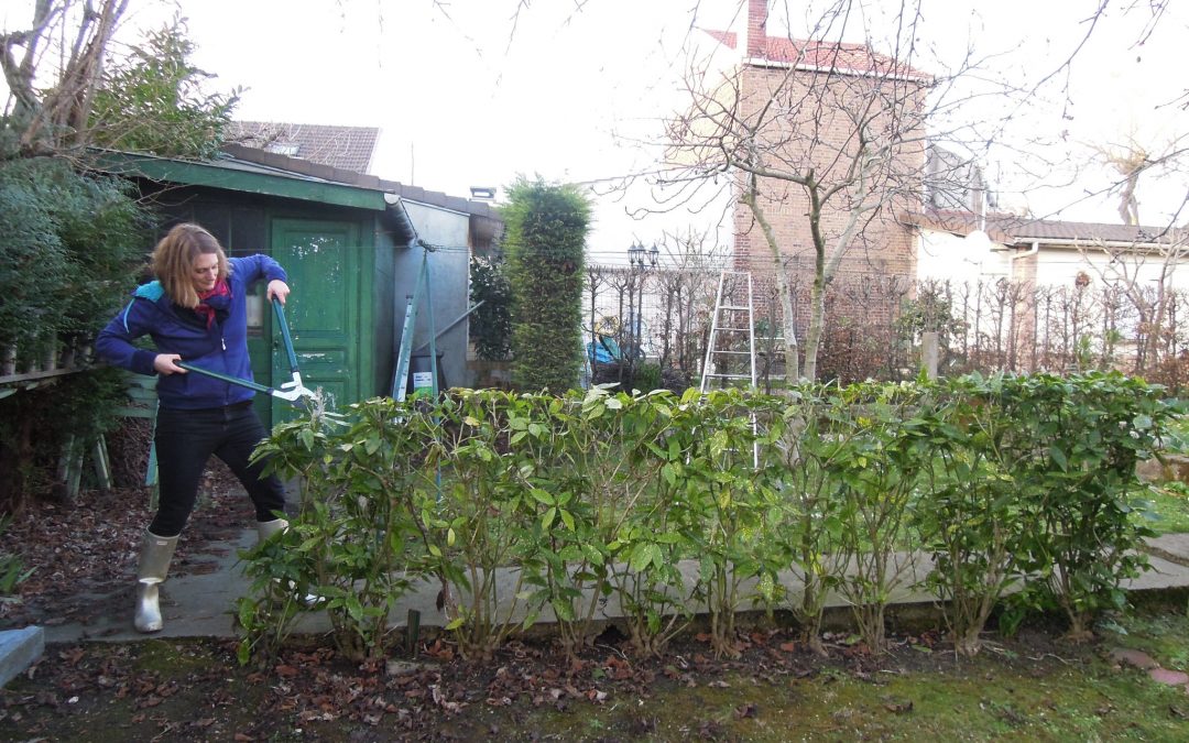 S’occuper de son jardin avec le plus grand soin