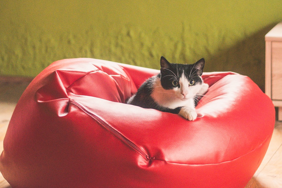 Le pouf XXL pour une détente en grandes mesures